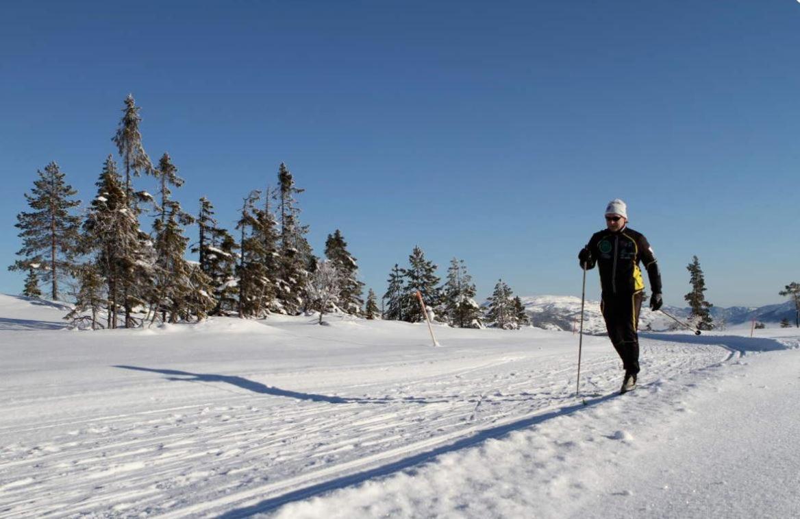 Norbel Hytte Norway Vrådal Eksteriør bilde