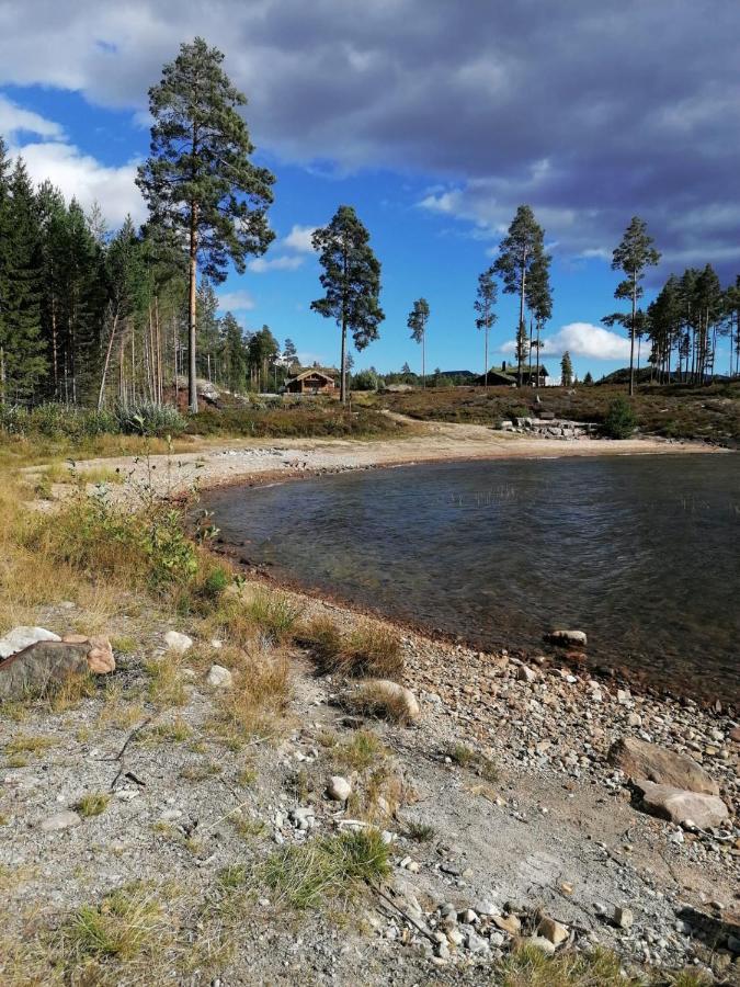 Norbel Hytte Norway Vrådal Eksteriør bilde